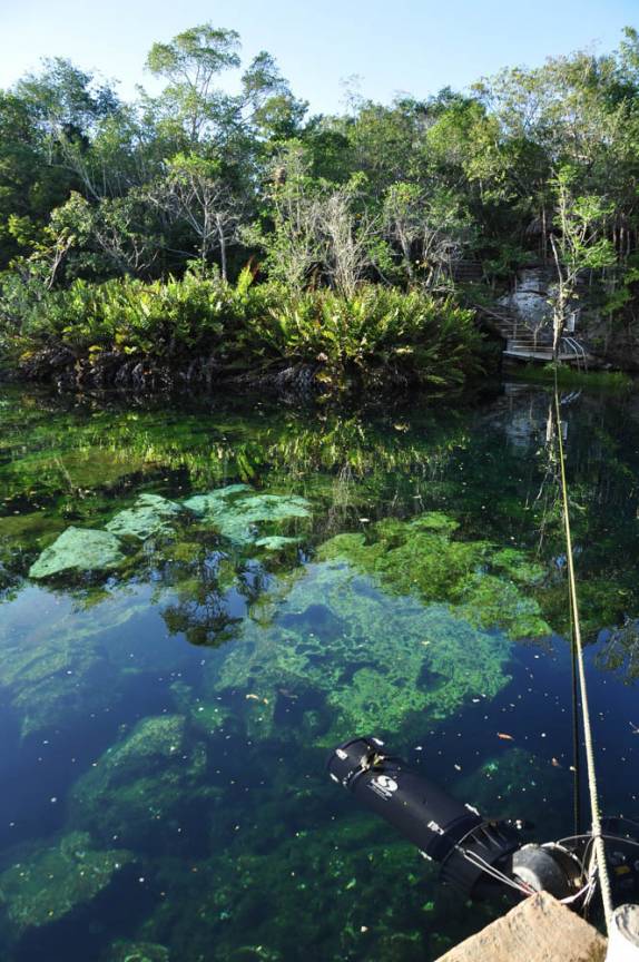 Cenote Jardin del Eden, em Tulum, na costa caribenha do Yucatán, no México